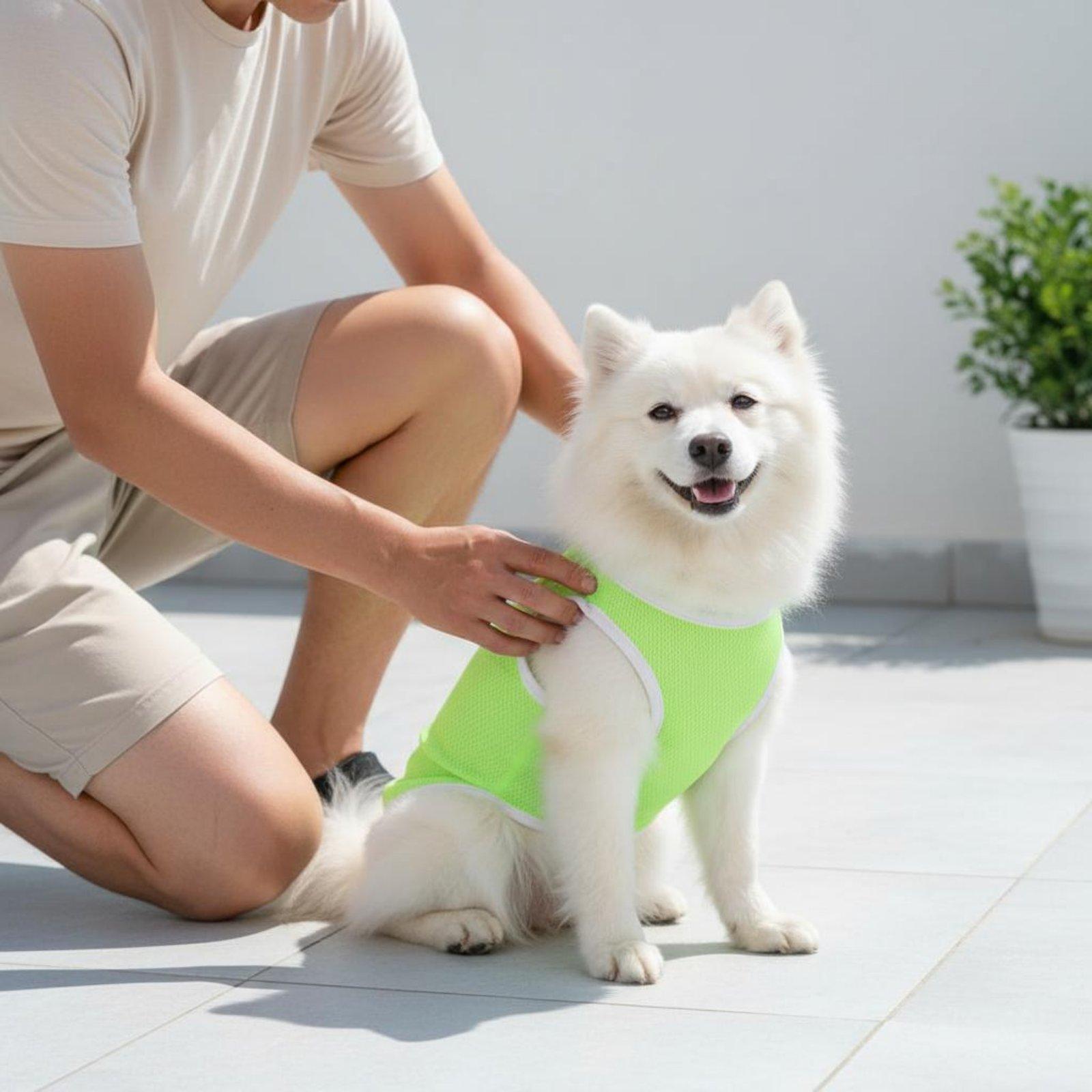 เสื้อกั๊กตาข่ายสำหรับสุนัข ช่ว - Outdoor Adventure Vest บทวิจารณ์และราคา